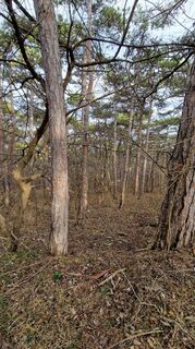 Photo de EP87 le long du parcours