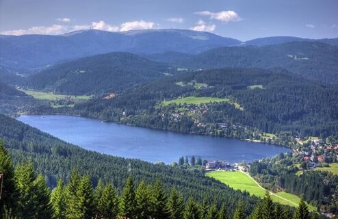 Blick auf den Ttitisee