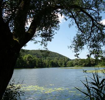 Bruchteich in Bad Soooden-Allendorf