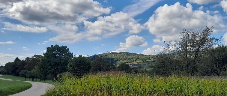 Fotografija s spletne strani Milena Dragoš na poti
