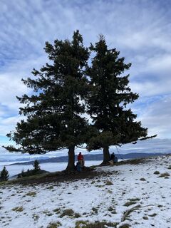 Foto von manfredbrandl entlang der Tour