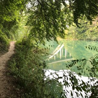 Trailrunning am Enns-Aktiv-Weg