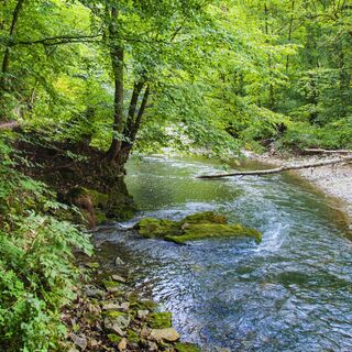 Gauchachschlucht