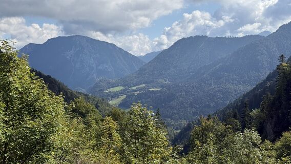 Fotografie de la Horst-Dieter Lutz de-a lungul turului