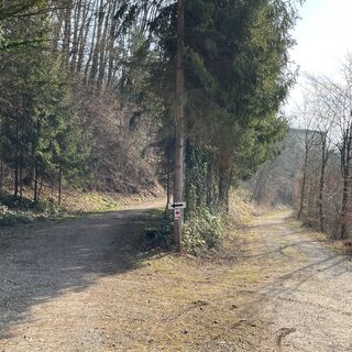 Damberg-Trail - flussaufwärts entlang der Enns
