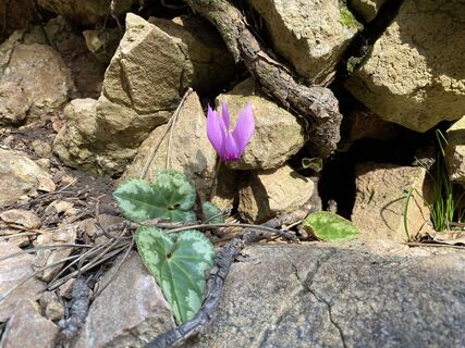 Photo de BeateMCh le long du parcours