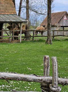 Fotografia z Guenter Schindler na trase