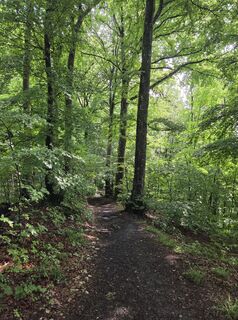 Fotografia z Sven na trase