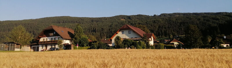 Appartementhaus Moser