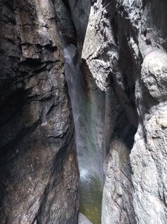 Foto von Noel Family entlang der Tour