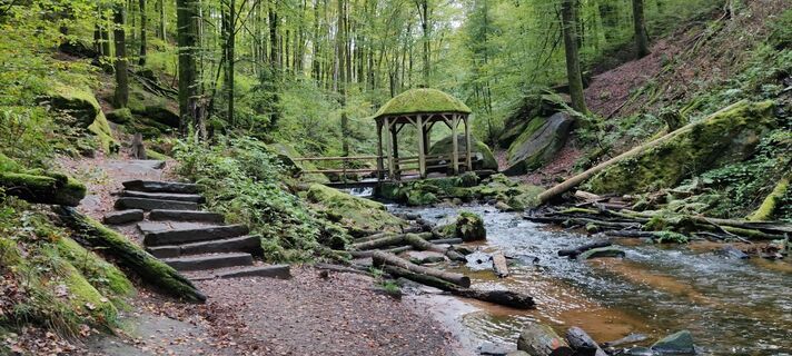 Fotografie z Werner Golsner na trase