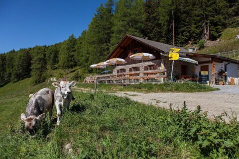 Larcher Alm