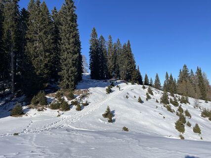 Fotó a Amiks honlapról a túra során