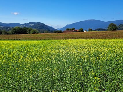 Fotografija s spletne strani JoesBurg na poti