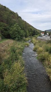 Foto von Brueckl Harald entlang der Tour