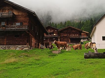 Photo de Luca Zagallo le long du parcours