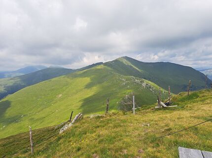 Foto von Daniela König 1 entlang der Tour
