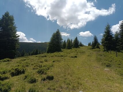 Foto de Harald Bäck a lo largo del recorrido