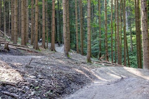 Bergkäs Trail
