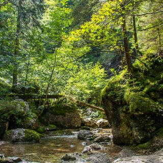Wasser in der Reichenbachklamm