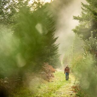 Die Tour bietet wunderschöne naturbelassene Wege, vor allem im Kälbertal