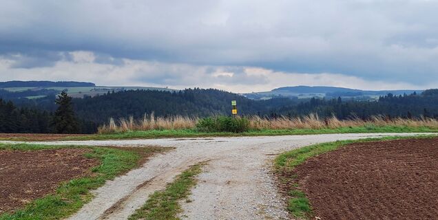 Foto von zirberl entlang der Tour