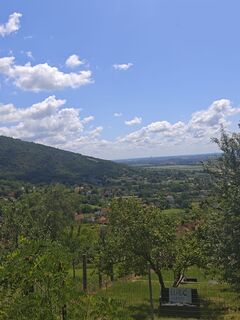 Fotografija s spletne strani Katona Ferk Mariann na poti