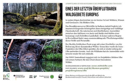 Hinweis zu Fördermittelgeber