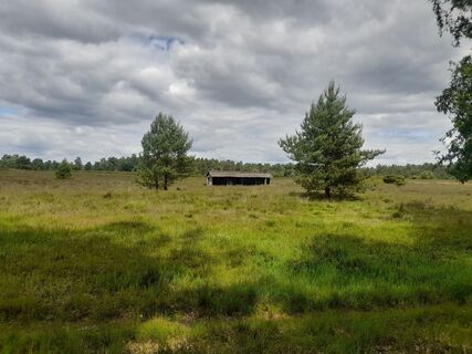 Fotografia z Sven Behnke na trase
