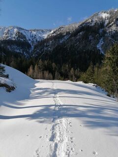 Spuren im Schnee