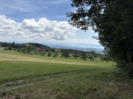 Zdjęcie z Raymont wzdłuż trasy