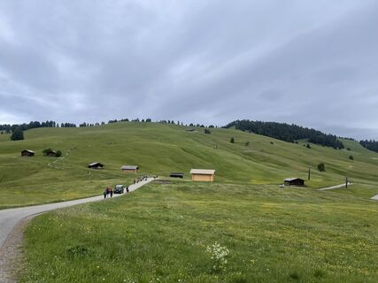 Photo de Daniela Schattauer le long du parcours