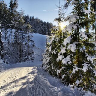 Winterwanderwege