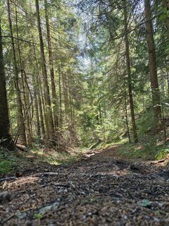 Photo de Michael Kammerer 2 le long du parcours
