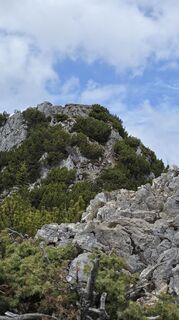 Photo de Moni le long du parcours