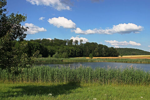 Weiher mit Zeppelin im Hintergrund