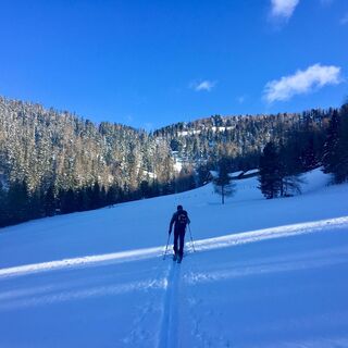 Bei der Kesselgrubenalm