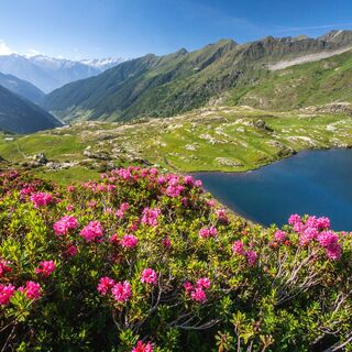 Der zweite der Laghi di Porcile im Val Tartano