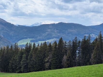 Fotografie de la Herbert Eckelhart de-a lungul turului