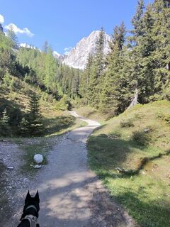 Foto von Nessi129 entlang der Tour