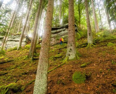 Auf dem Weg zum Stubenfelsen