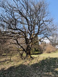 Foto von Edeltraud zraunig entlang der Tour