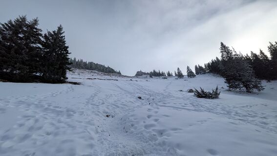 Foto de Johannes Zaunrith (Xinoi) a lo largo del recorrido