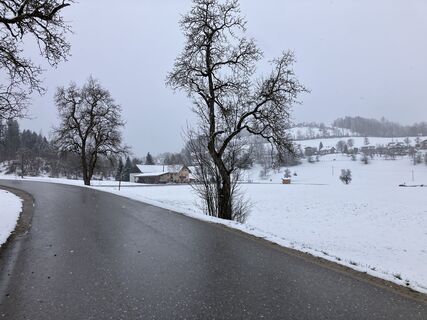 Fotografija s spletne strani Vladi na poti