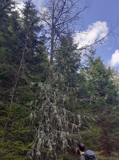 Foto de Christian Burghard a lo largo del recorrido