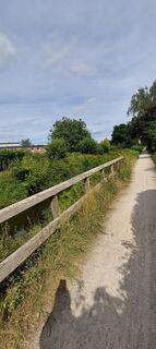 Photo de Nine le long du parcours