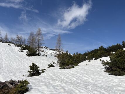 Foto von Heinz Sperl entlang der Tour