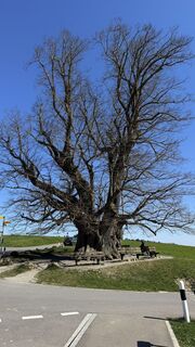 Fotografie de la Peter Burki de-a lungul turului