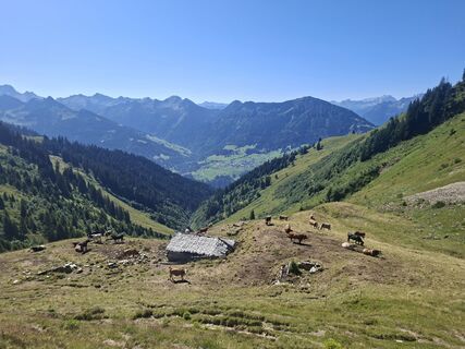 Foto von Karl-Heinz Martin entlang der Tour