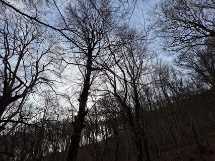 Foto de Gianfranco zupancich a lo largo del recorrido